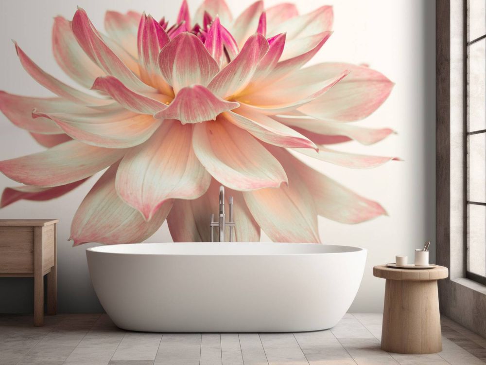 Dahlia bloem