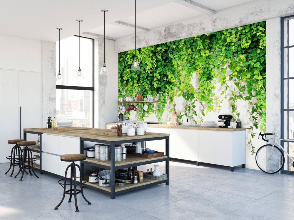 Groene hangende takken