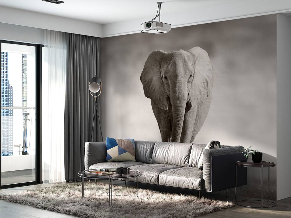 Mooie olifant