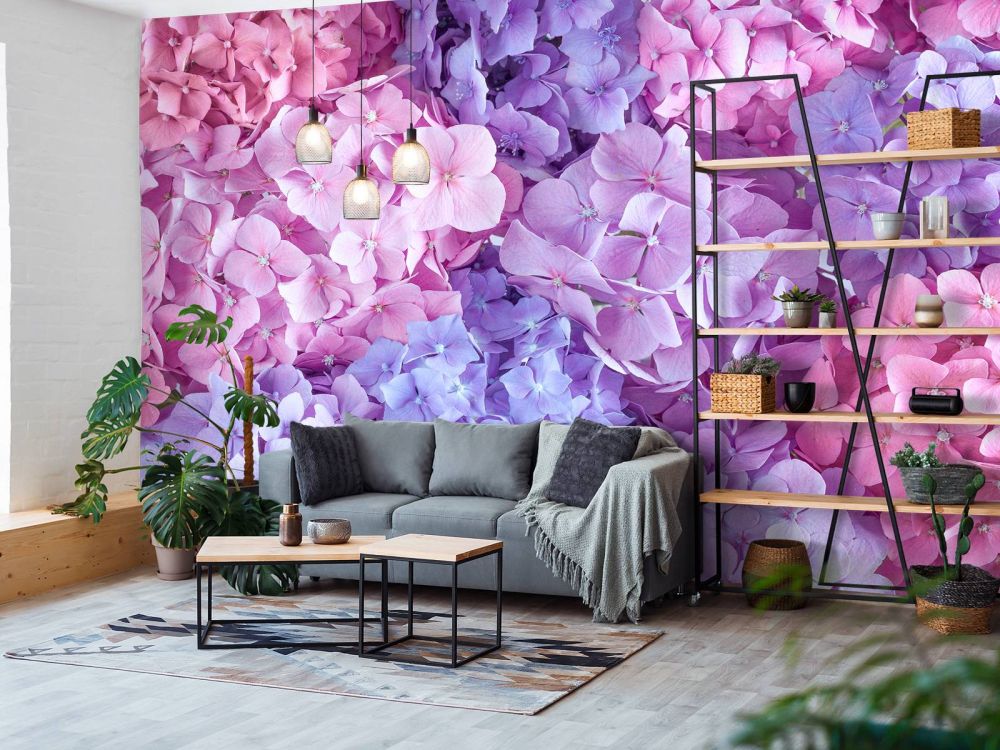 Kleurrijke hortensia's