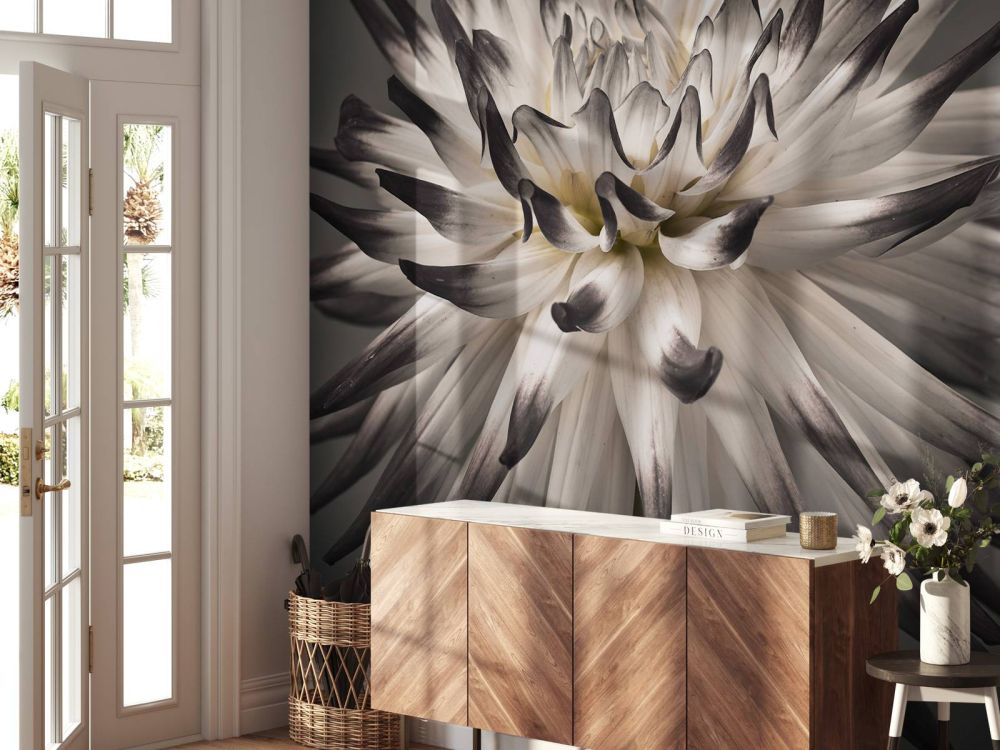Dahlia bloem zwart wit