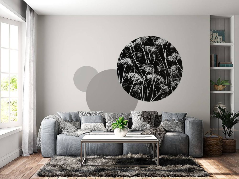 Silhouet van gedroogde planten