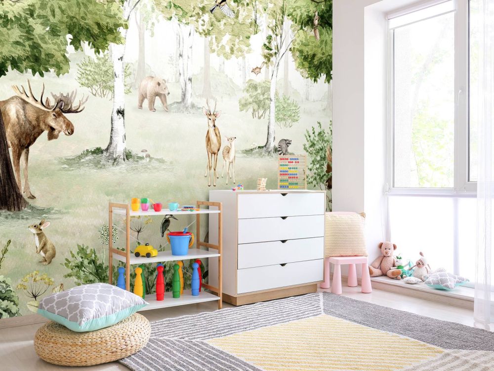 Woodland Wonders