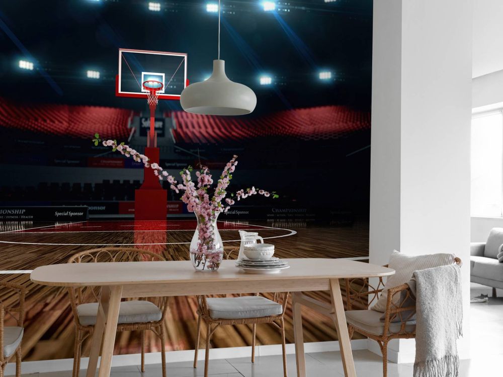 Basketbal arena