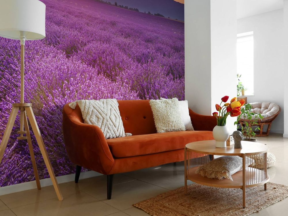 Veld vol lavendel