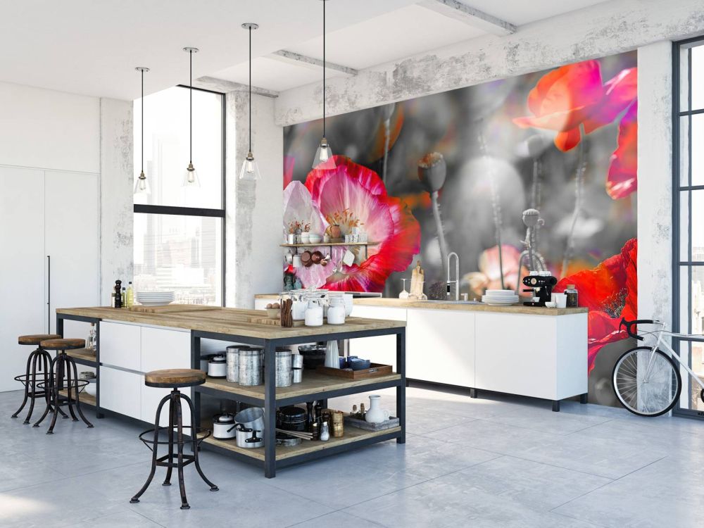 Klaprozen in zwart, wit, rood