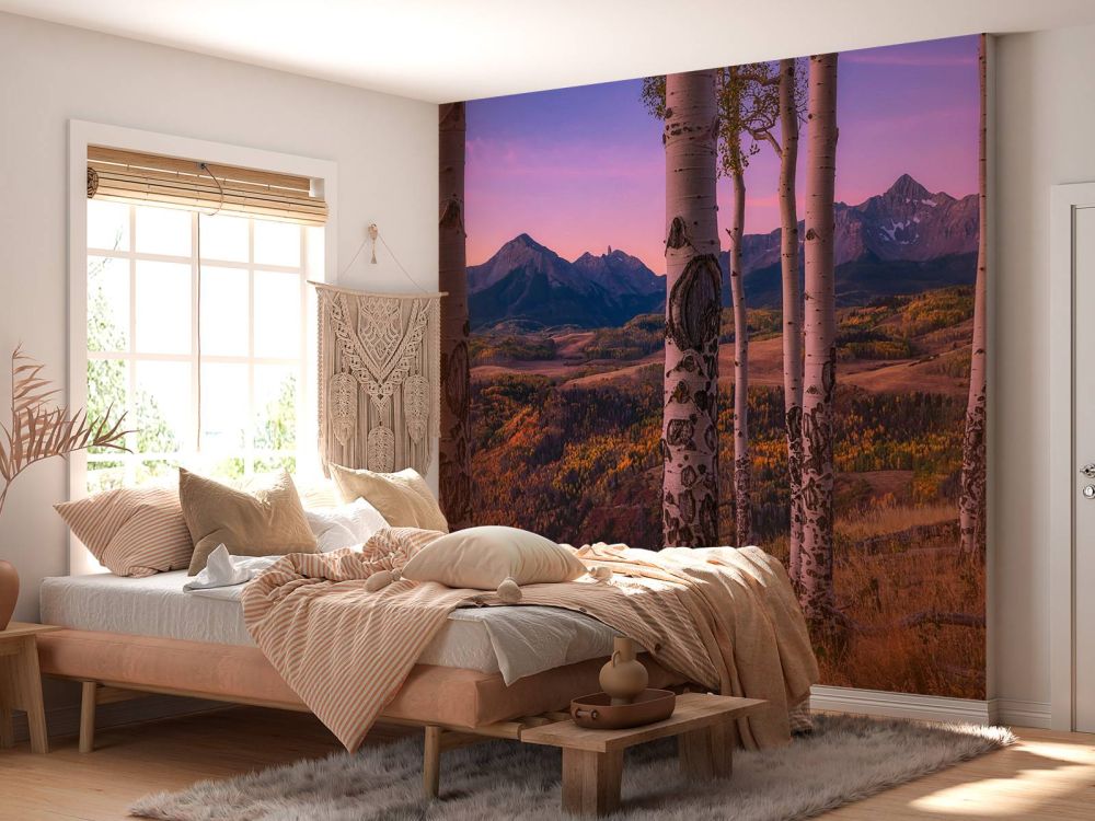 Aspen Frames