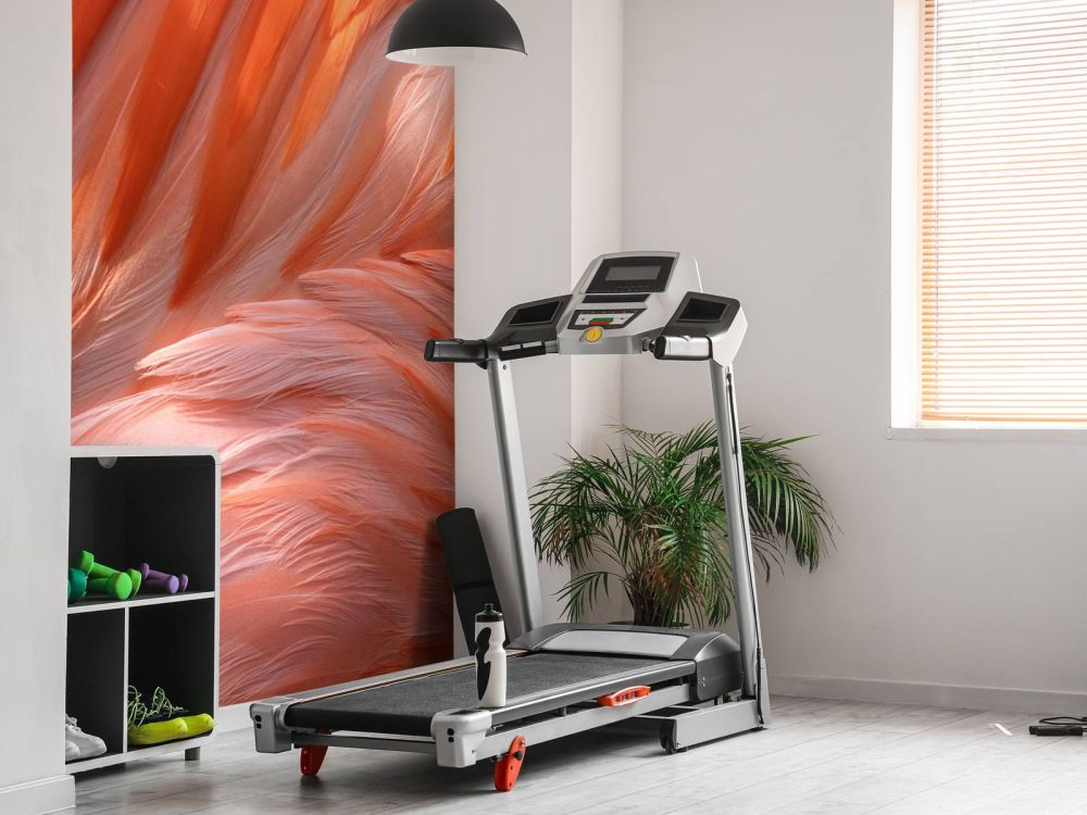 Flamingo veren