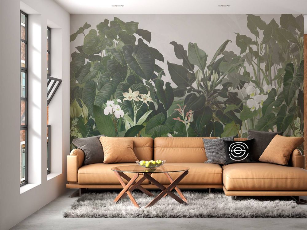 Walking to the Tropic 2