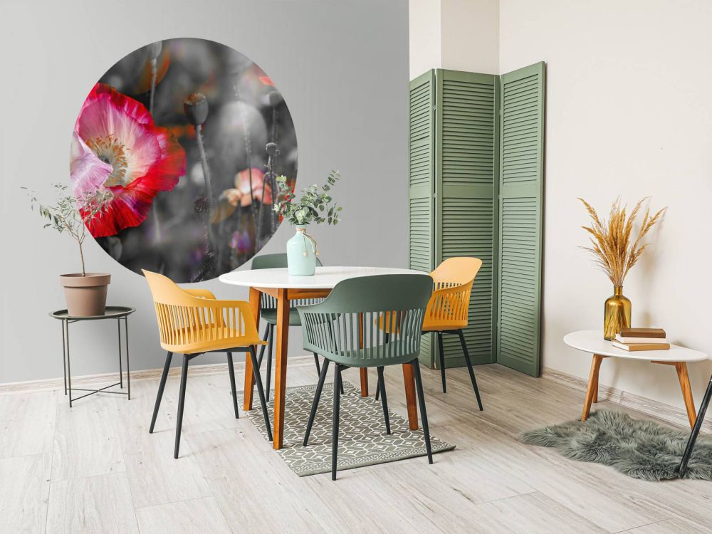 Klaprozen in zwart, wit, rood