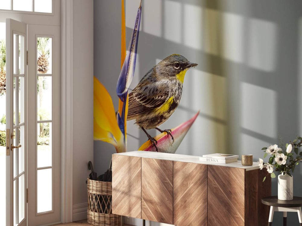 Paradijsbloem met vogeltje