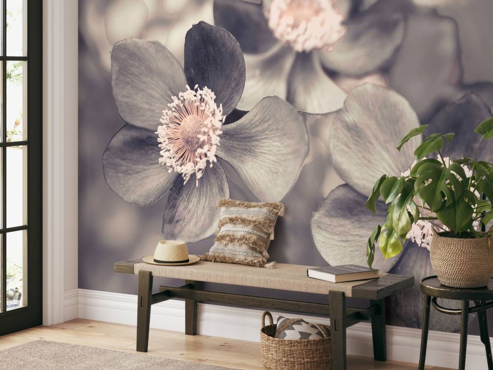 Anemone bloem