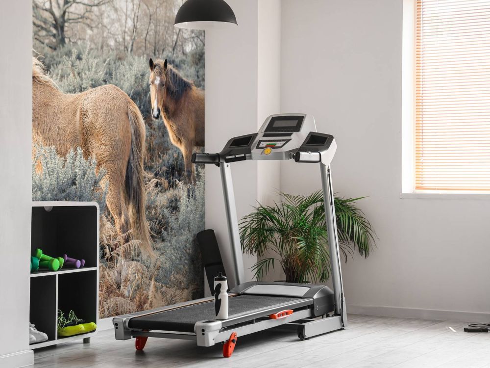 Wilde paarden in een veld