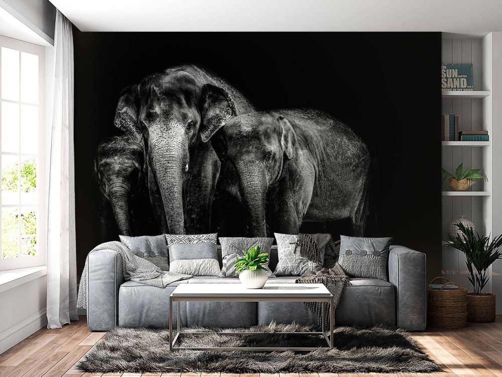 Zwart wit foto van olifanten