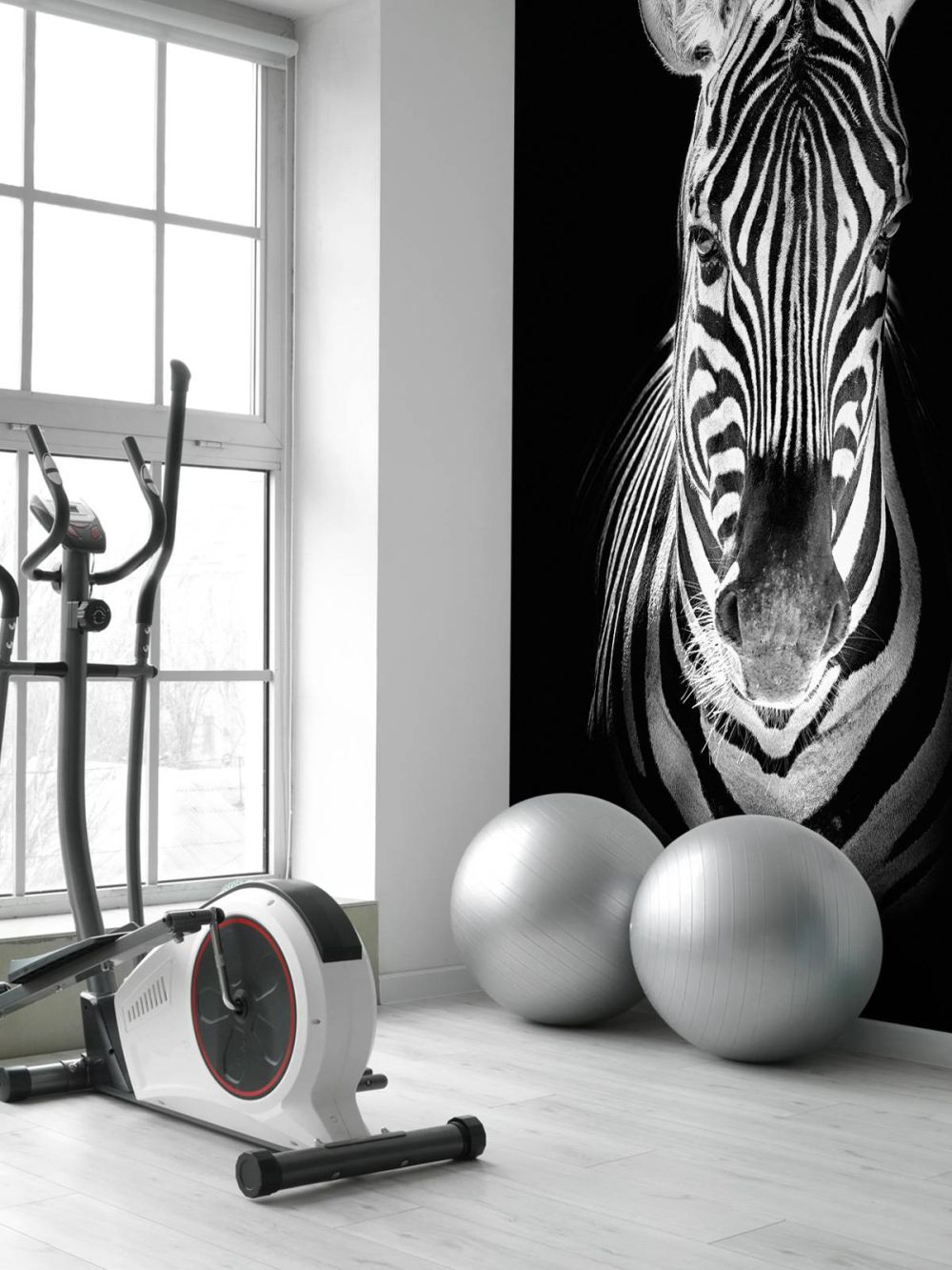 Close-up zebra zwart-wit