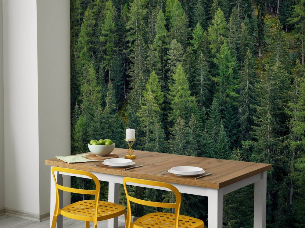Groen sparrenbos