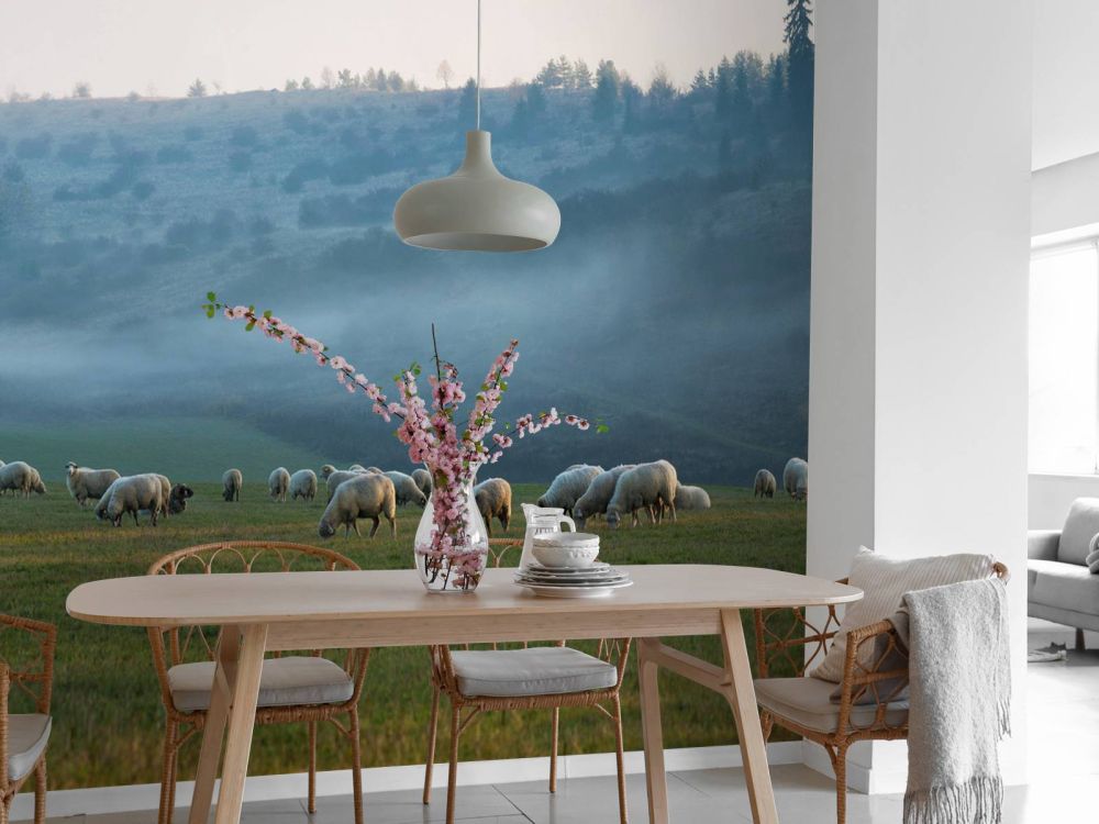 Kudde schapen met mistig landschap