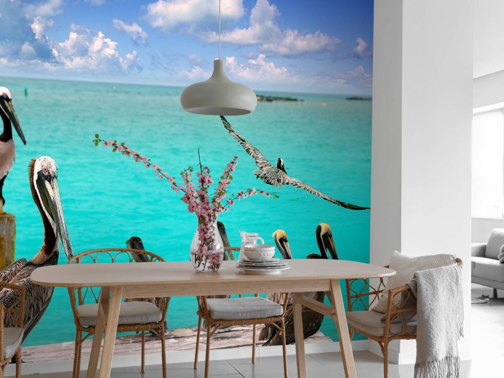 Caribische pelikaan