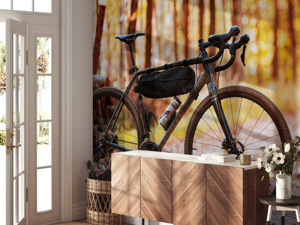 Fiets in de herfst