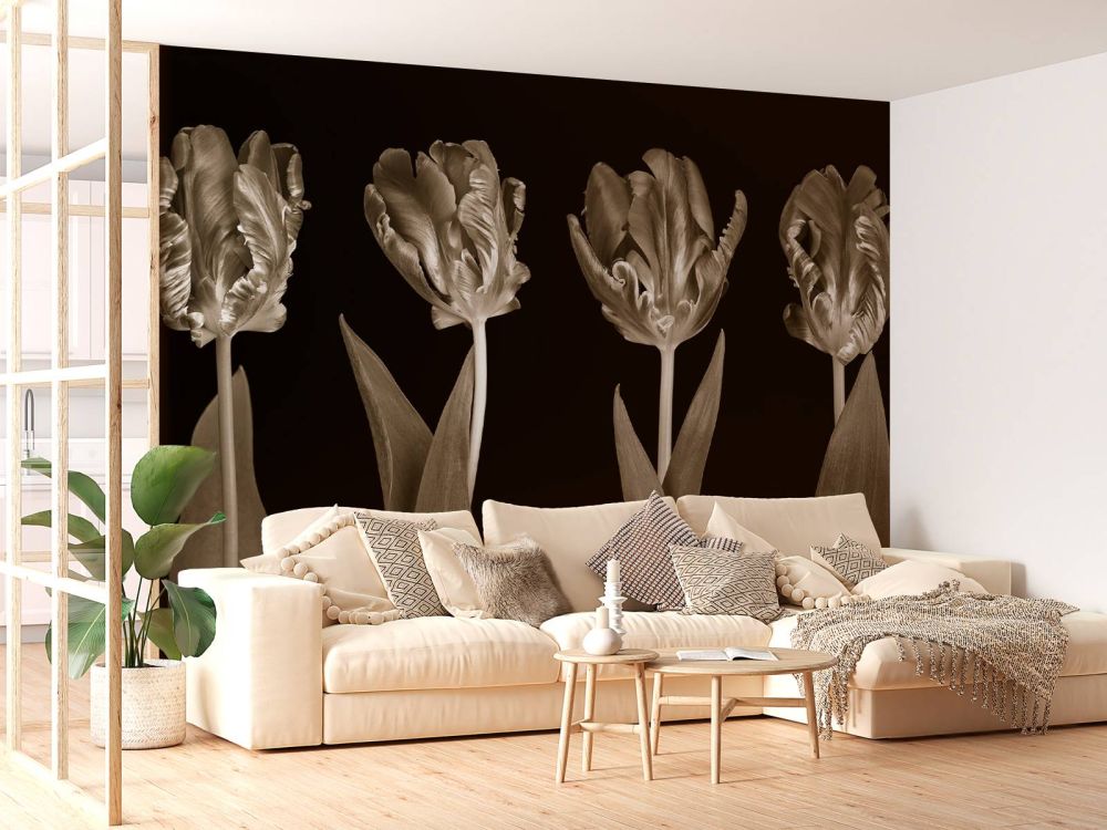 Rococo tulpen