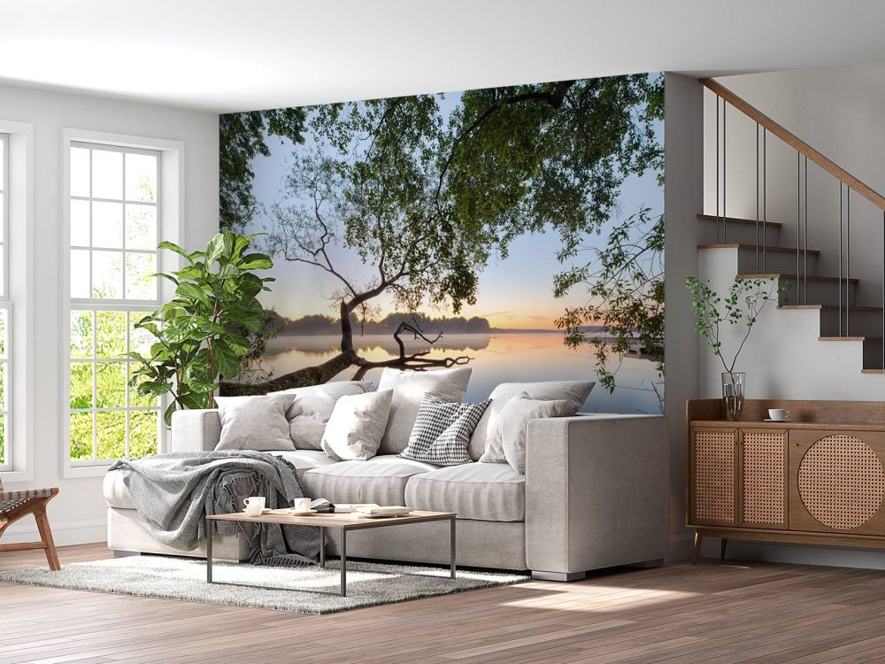 Lake view