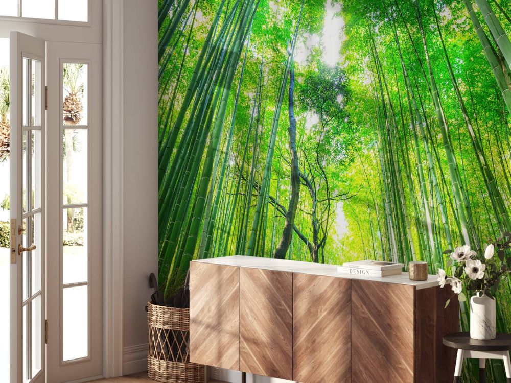 Bamboebos van Arashiyama