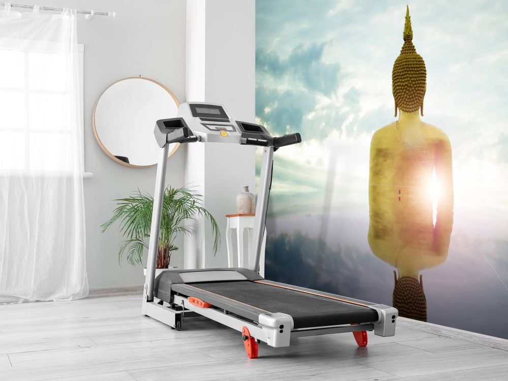 Grote Buddha beeld