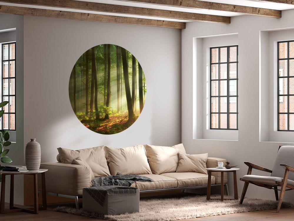 Ochtendzon tussen de bomen