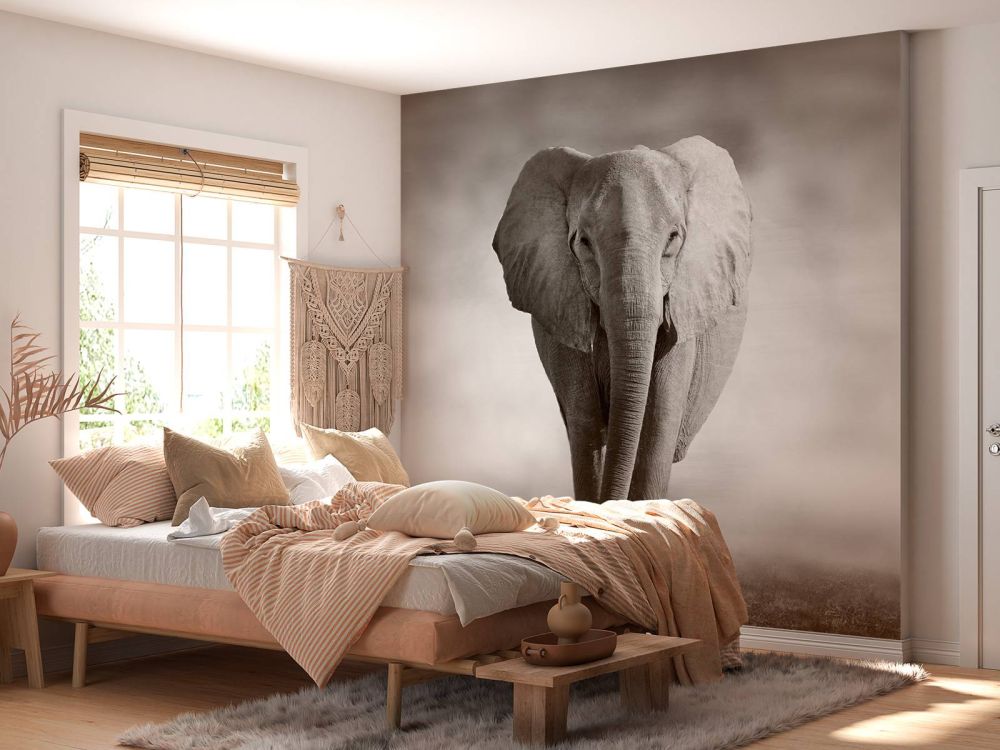 Mooie olifant