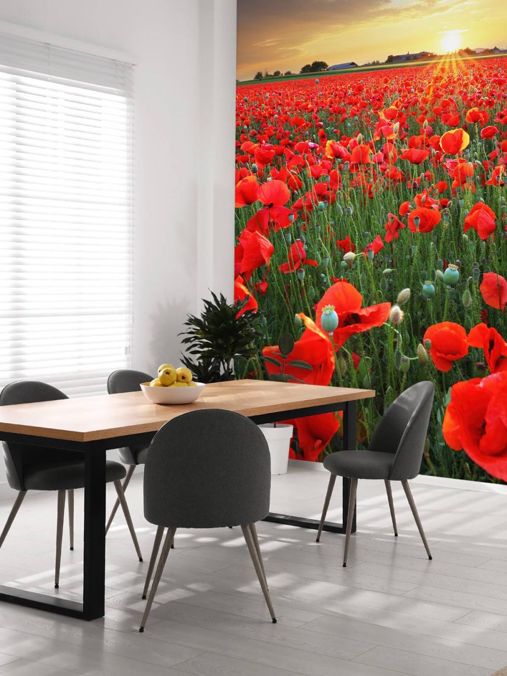Klaprozen bij ondergaande zon