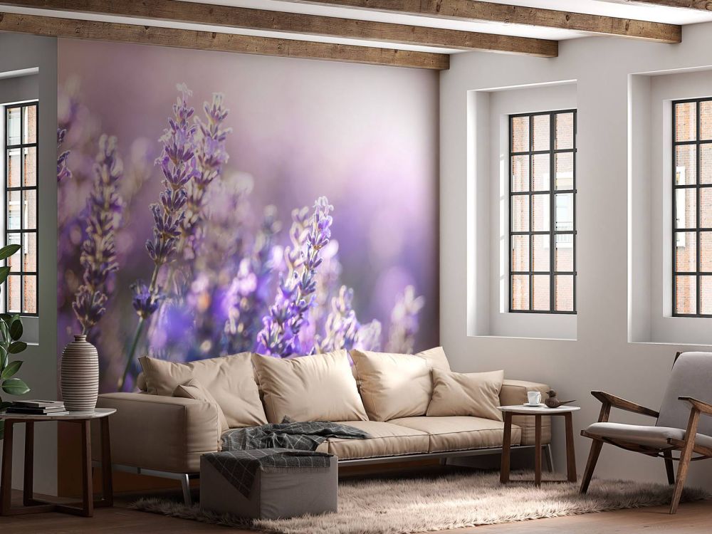 Dromerig lavendel