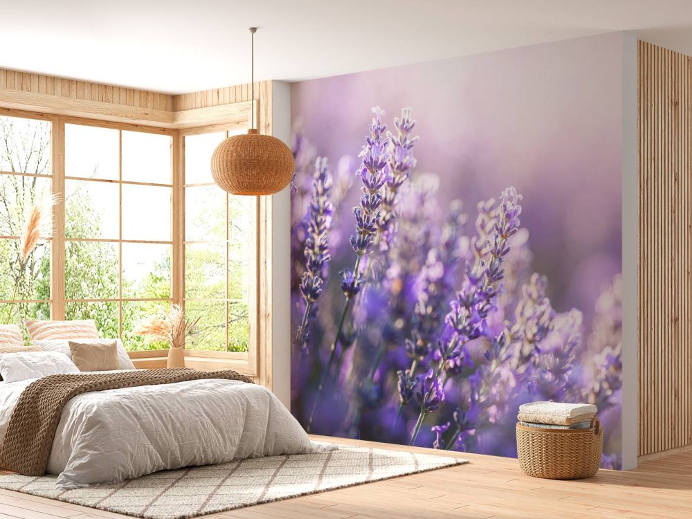 Dromerig lavendel