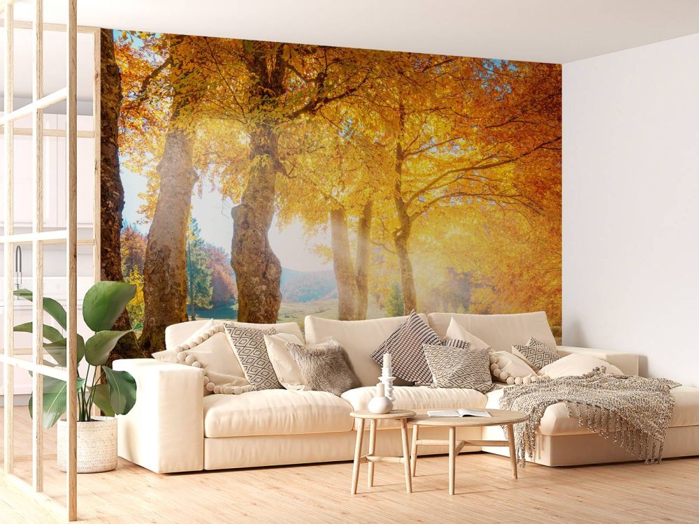 Warm herfstlandschap