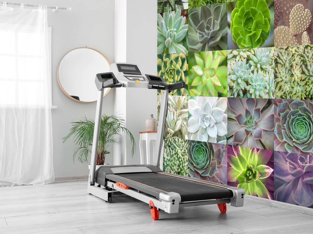 Vetplanten collage