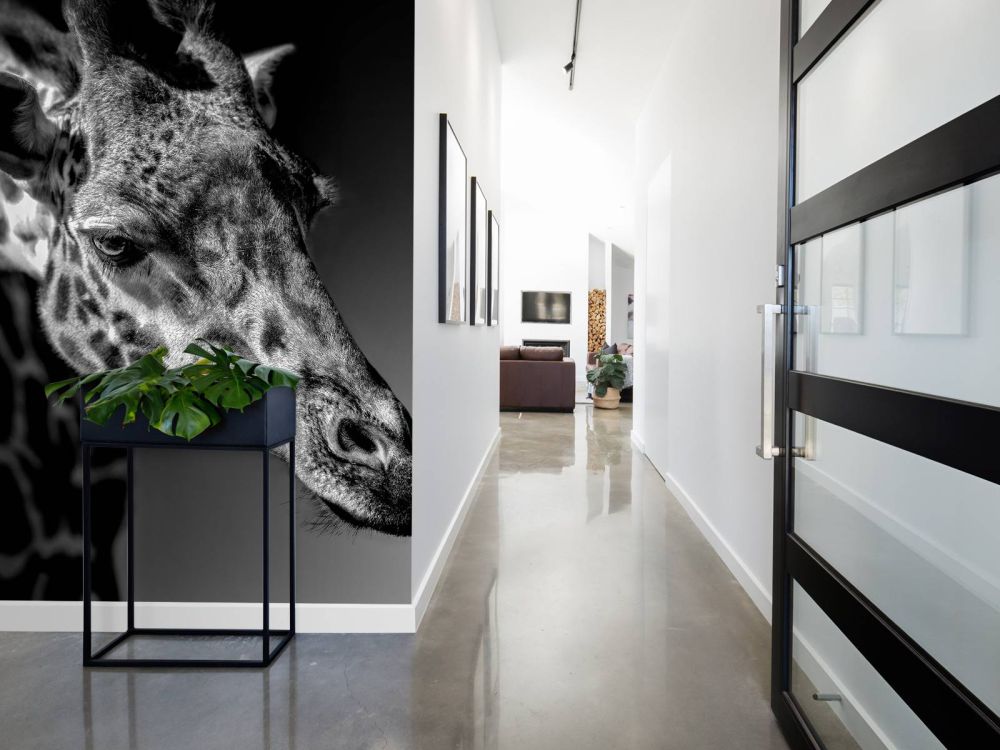 Giraffe