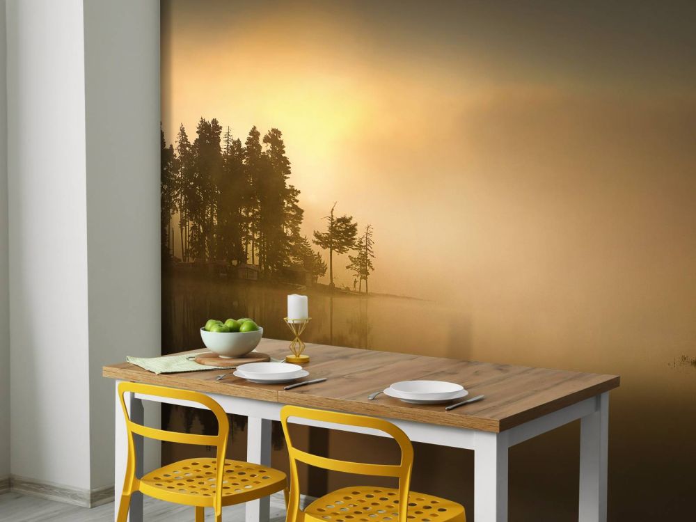 Island in the fog