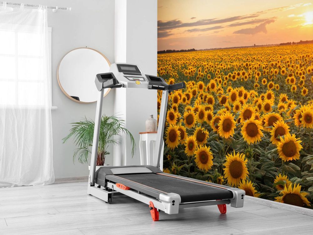 Zonnebloemen veld met zonsondergang