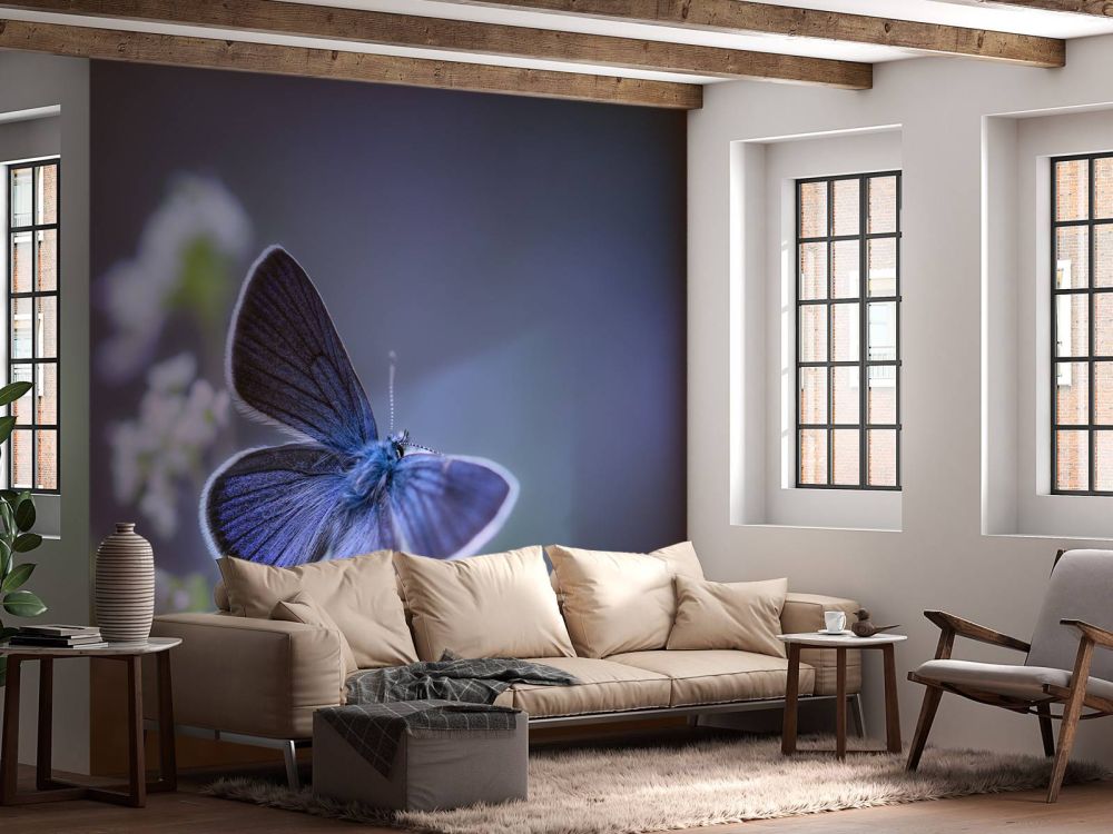 Blauwe vlinder
