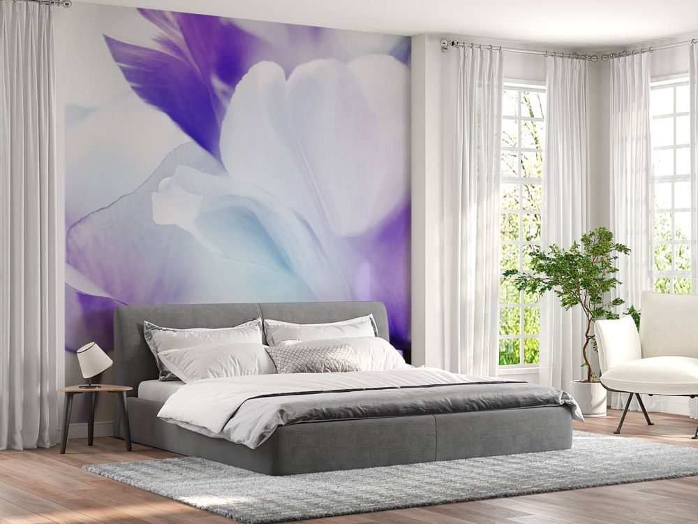 Tulpen fantasie