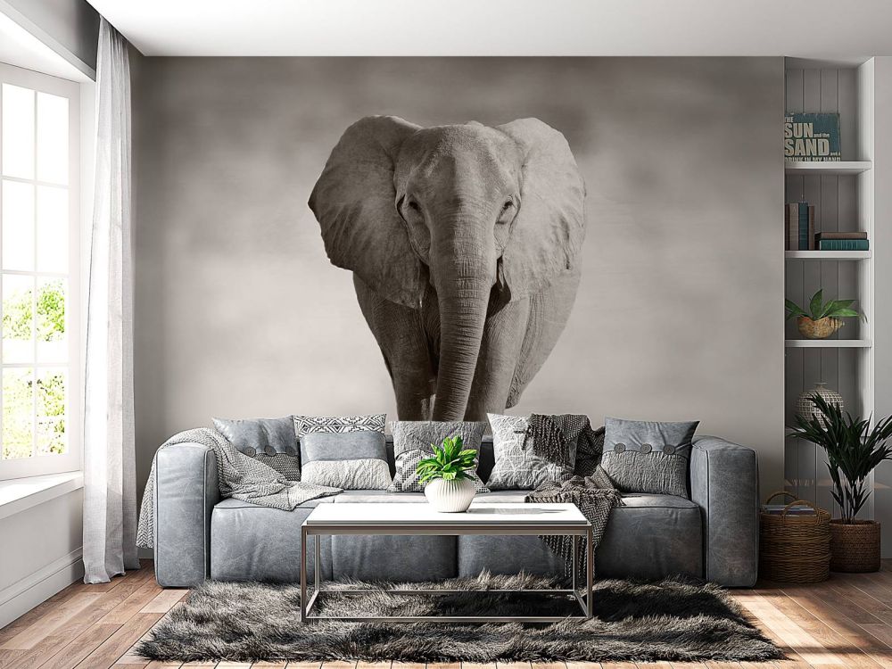 Mooie olifant