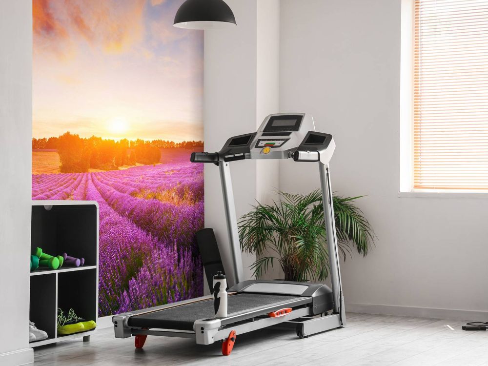 Lavendel Veld op fotobehang