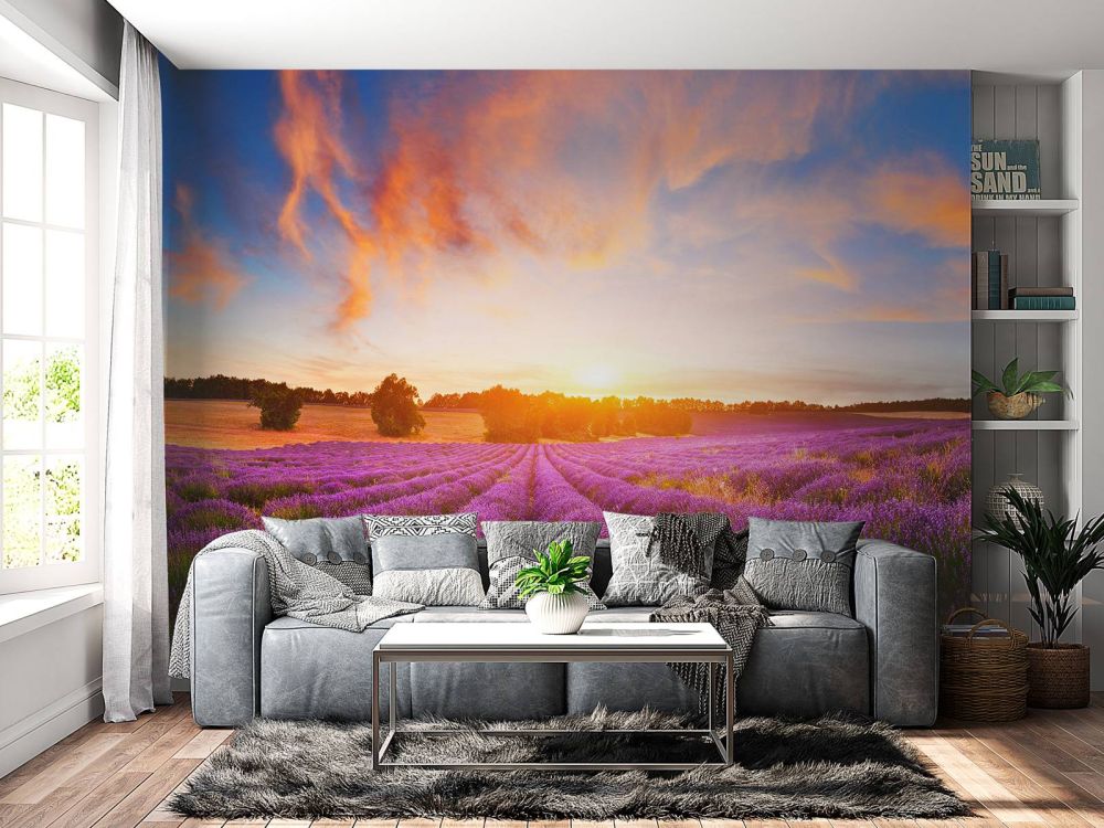 Lavendel Veld op fotobehang