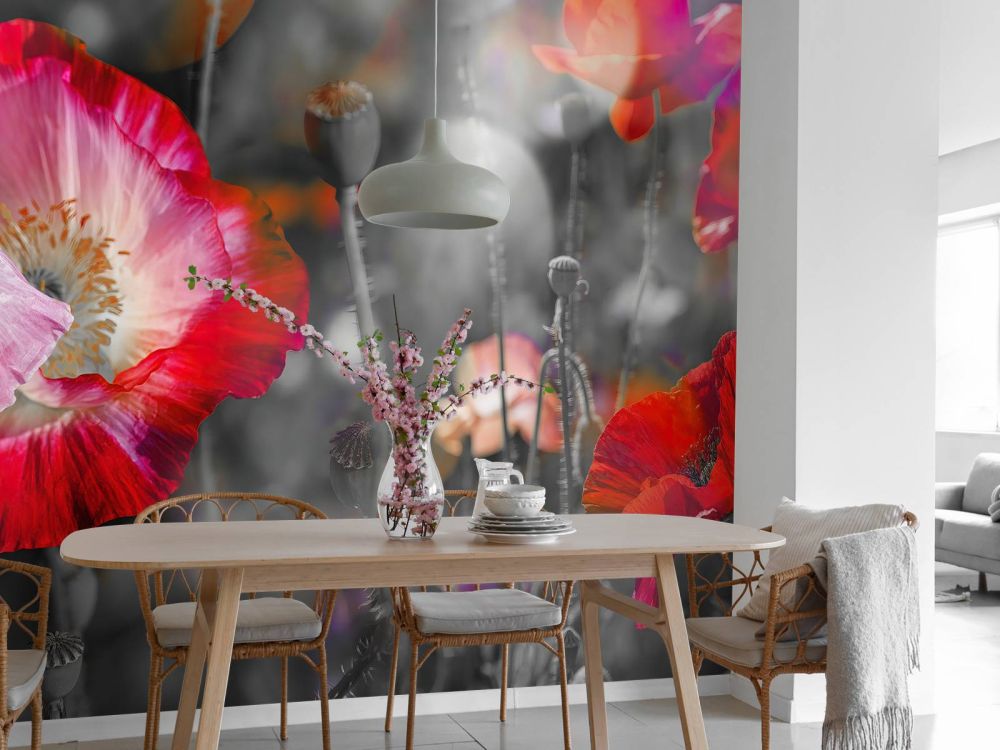 Klaprozen in zwart, wit, rood