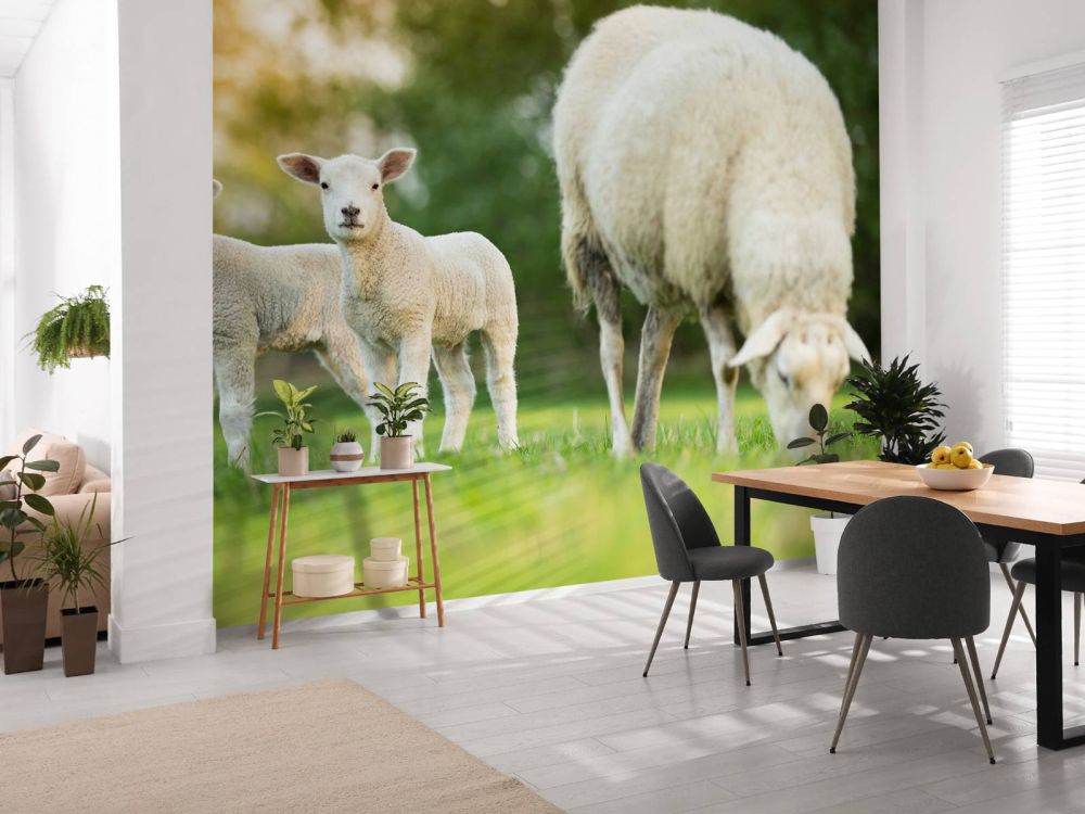 Moeder schaap met lammetjes