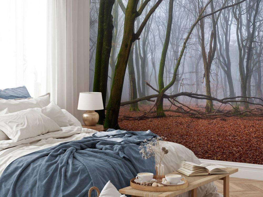 Mysterieus mistig bos
