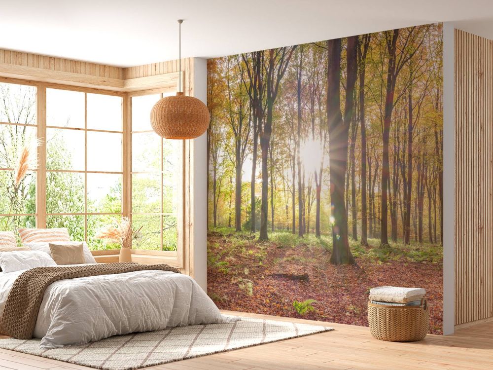 Zonlicht door herfstbos