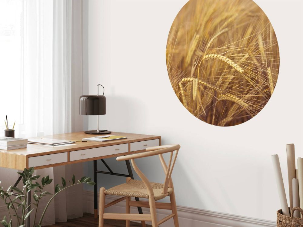 Wheat Field