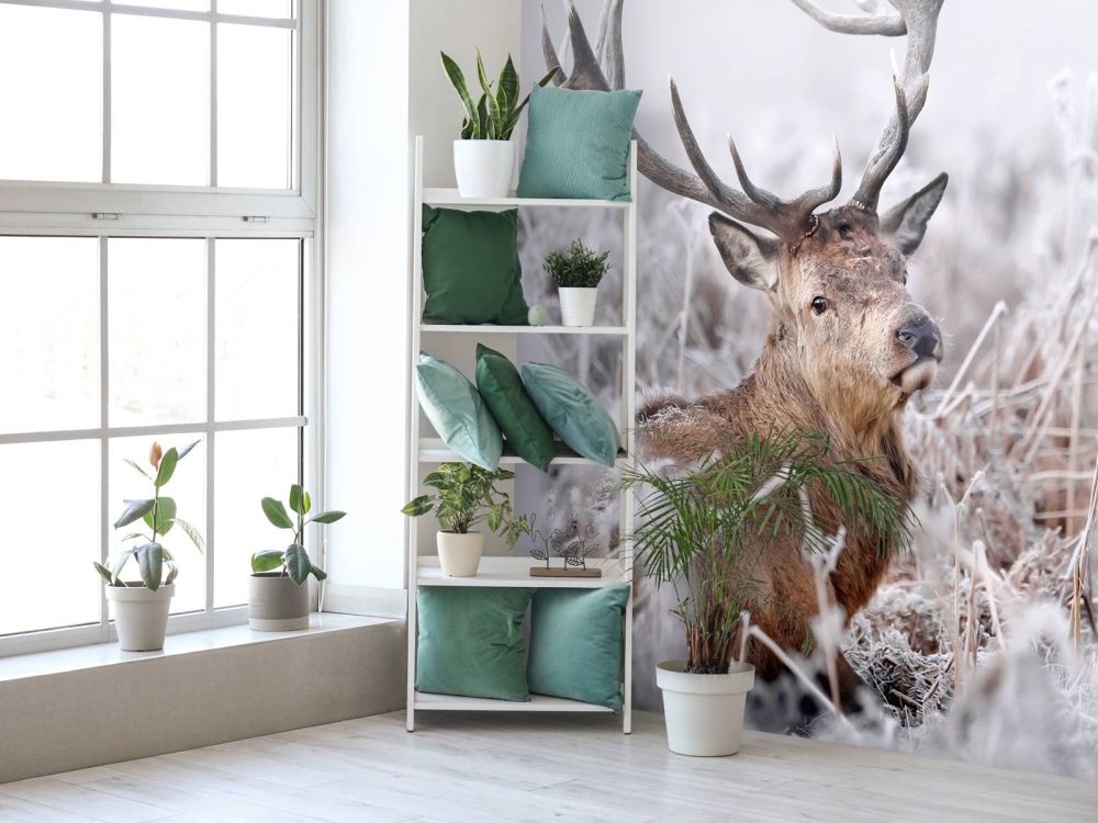 Edelhert's Winterdroom
