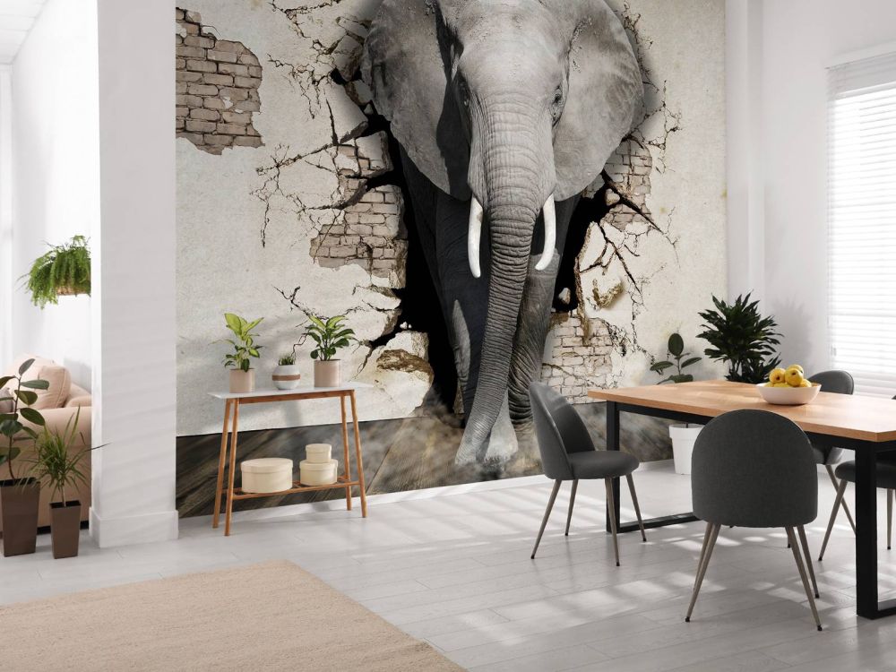 3D Olifant uit de muur