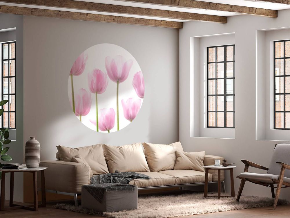 Mooie roze tulpen